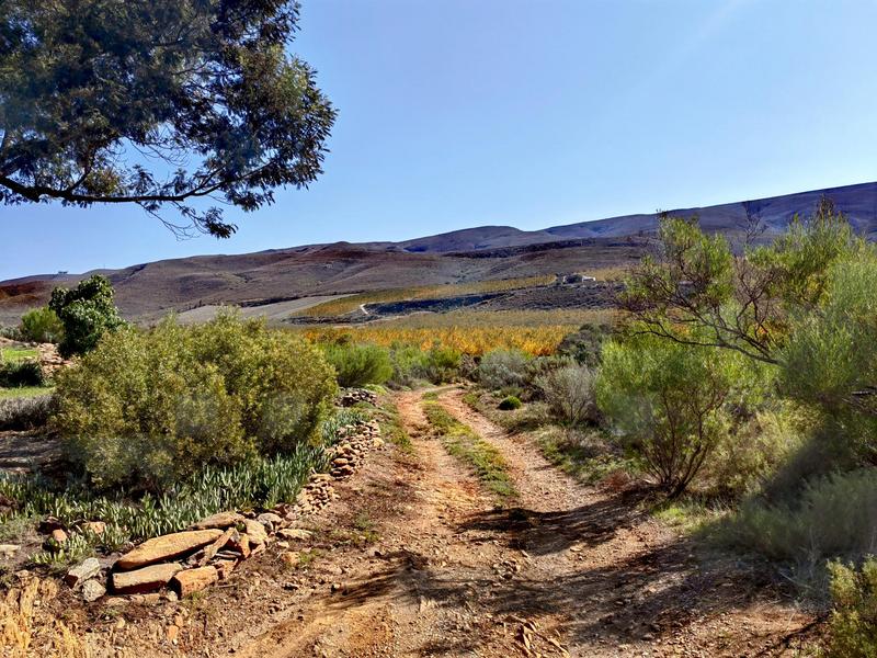 8 Bedroom Property for Sale in Montagu Rural Western Cape